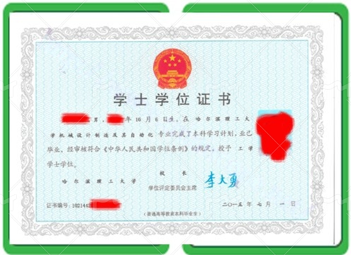 沙坡头办学士学位证